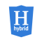 t-hybrid